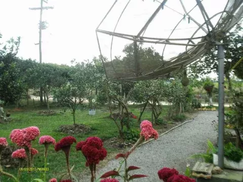 Sítio com 3 quartos, 1 banheiro e 200m² à venda no bairro Fragata, Pelotas